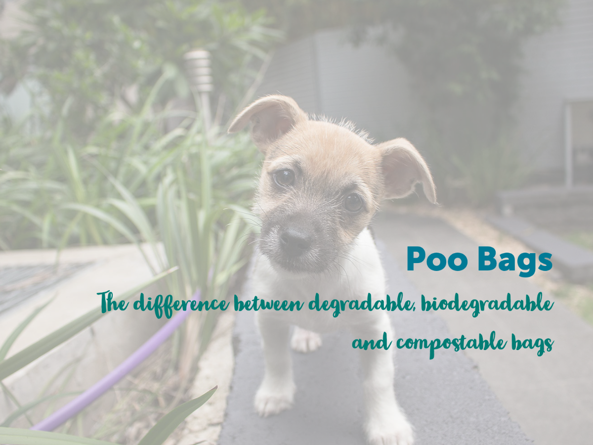 Read more about the article What is the difference between degradable, biodegradable and compostable dog poo bags?